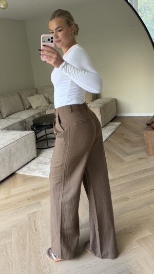 img_2756 Tall wide leg pantalon pinstripe bruin